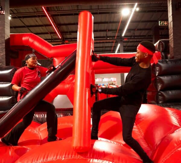 Total Ninja Stoneridge