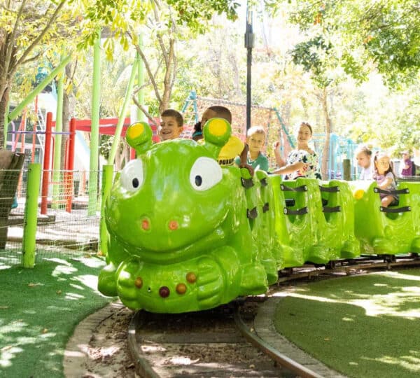 Bugz Playpark